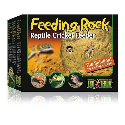 Exo Terra Feeding Rock / Reptile Cricket Feeder - Aquatic Supplies Australia