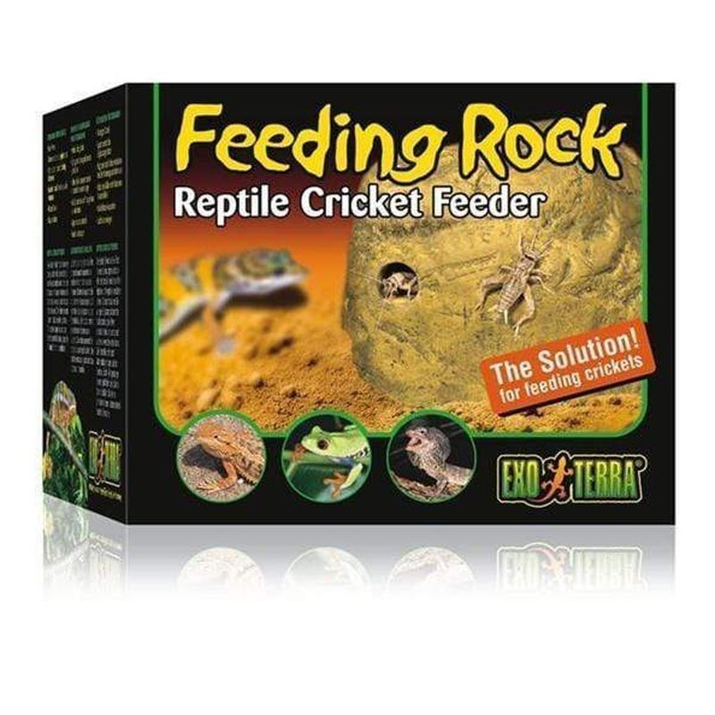 Exo Terra Feeding Rock / Reptile Cricket Feeder - Aquatic Supplies Australia