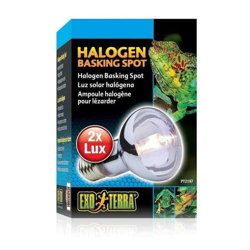 Exo Terra Halogen Basking Spot - Aquatic Supplies Australia