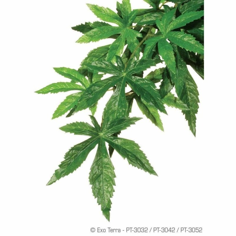 Exo Terra Hanging Forest Plants Abuliton (Silk) - Aquatic Supplies Australia