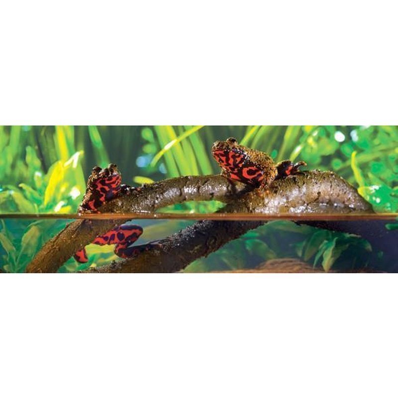 Exo Terra Jungle Vines - Aquatic Supplies Australia