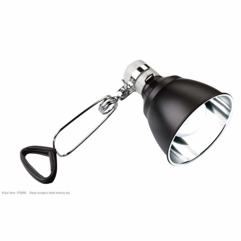 Exo Terra Light Dome Aluminium UV Reflector Lamp - Aquatic Supplies Australia