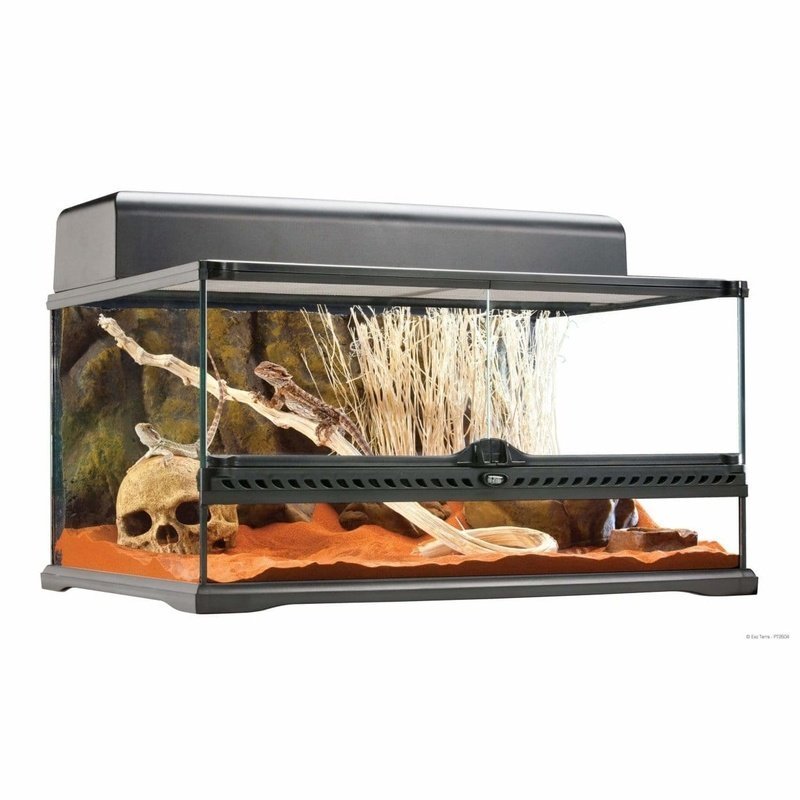 Exo Terra Natural Terrarium Medium/Low 60 x 45 x 30 cm - Aquatic Supplies Australia
