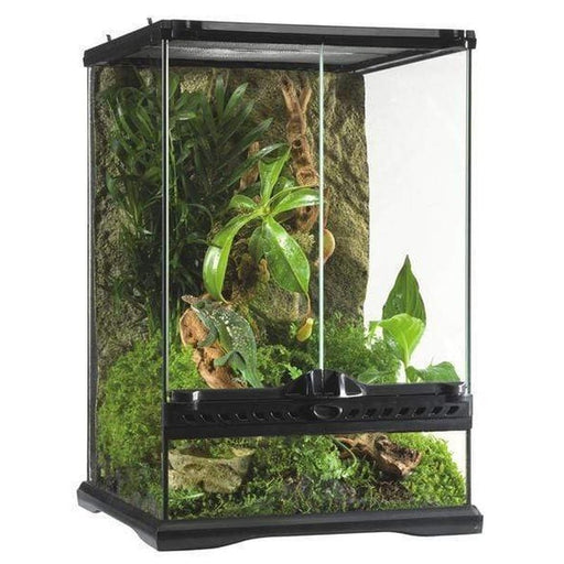 Exo Terra Natural Terrarium Mini/Tall 30 x 30 x 45 cm - Aquatic Supplies Australia