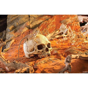 Exo Terra Primate Skull Hiding Place Large - Aquatic Supplies Australia