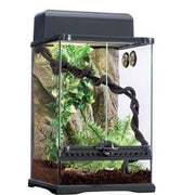 Exo Terra Rainforest Habitat Kit Small 30 x 30 x 45cm - Aquatic Supplies Australia