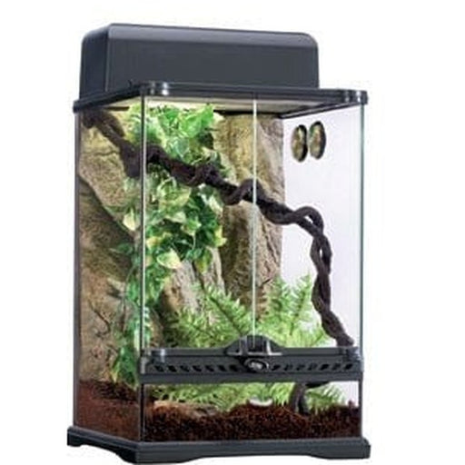 Exo Terra Rainforest Habitat Kit Small 30 x 30 x 45cm - Aquatic Supplies Australia