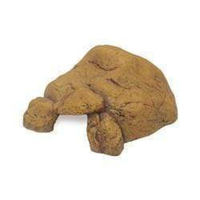 Exo Terra Reptile Cave - Aquatic Supplies Australia