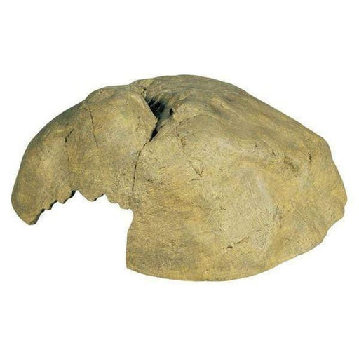 Exo Terra Reptile Cave / Natural Hiding Place X - Large - Aquatic Supplies Australia