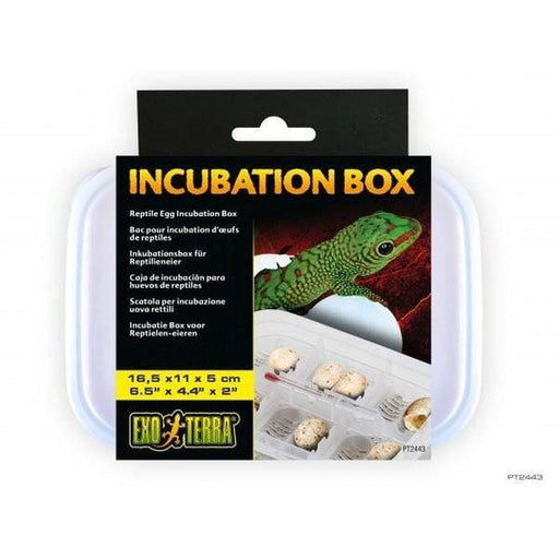 Exo Terra Reptile Egg Incubation Box - Aquatic Supplies Australia