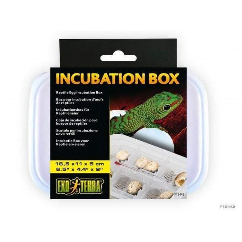Exo Terra Reptile Egg Incubation Box - Aquatic Supplies Australia