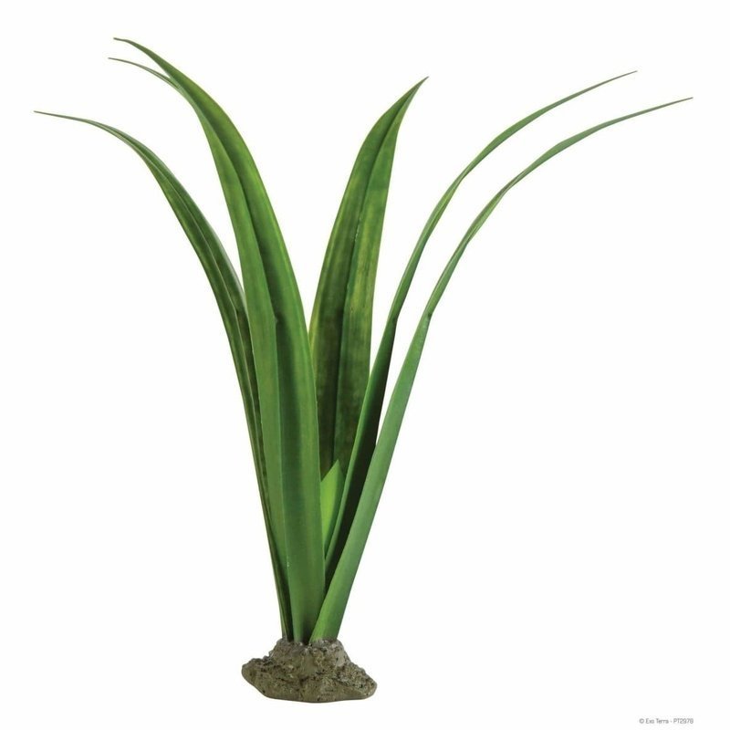Exo Terra Smart Plant Pandanus - Aquatic Supplies Australia