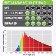 Exo Terra Swamp Basking Spot Light - Aquatic Supplies Australia