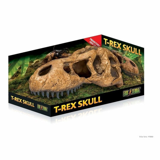 Exo Terra T-Rex Skull Hide-Out Large - Aquatic Supplies Australia