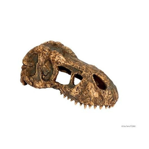 Exo Terra T - Rex Skull Small - Aquatic Supplies Australia