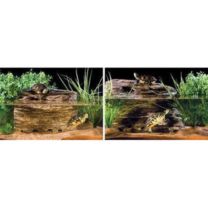 Exo Terra Turtle Cliff Large Filter + Rock Aquatic Supplies Australia