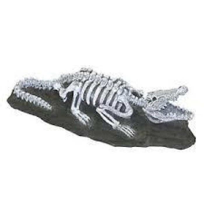 Fauna Nile Crocodile Fossil - Aquatic Supplies Australia