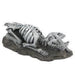 Fauna Sabre Tooth Tiger Fossil - Aquatic Supplies Australia