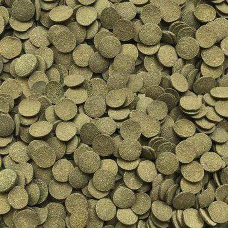 Fluval Bug Bites Algae Crisps - Aquatic Supplies Australia