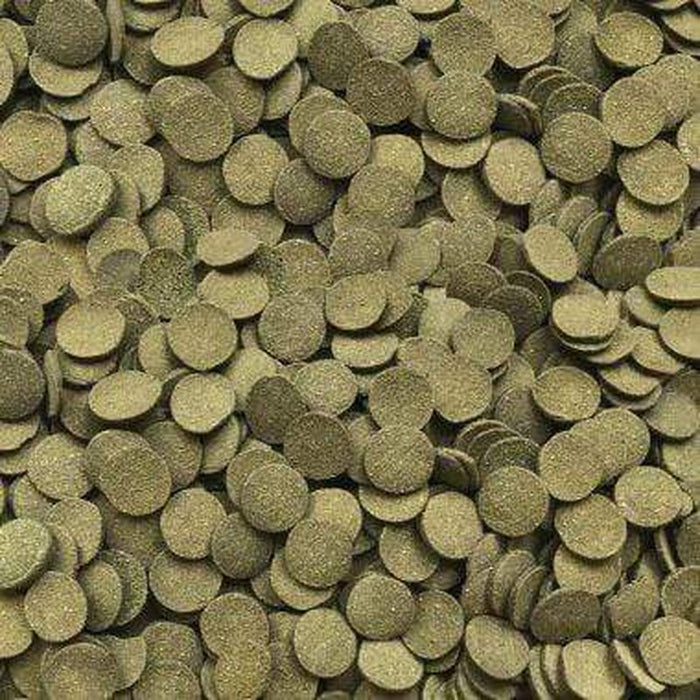 Fluval Bug Bites Algae Crisps - Aquatic Supplies Australia