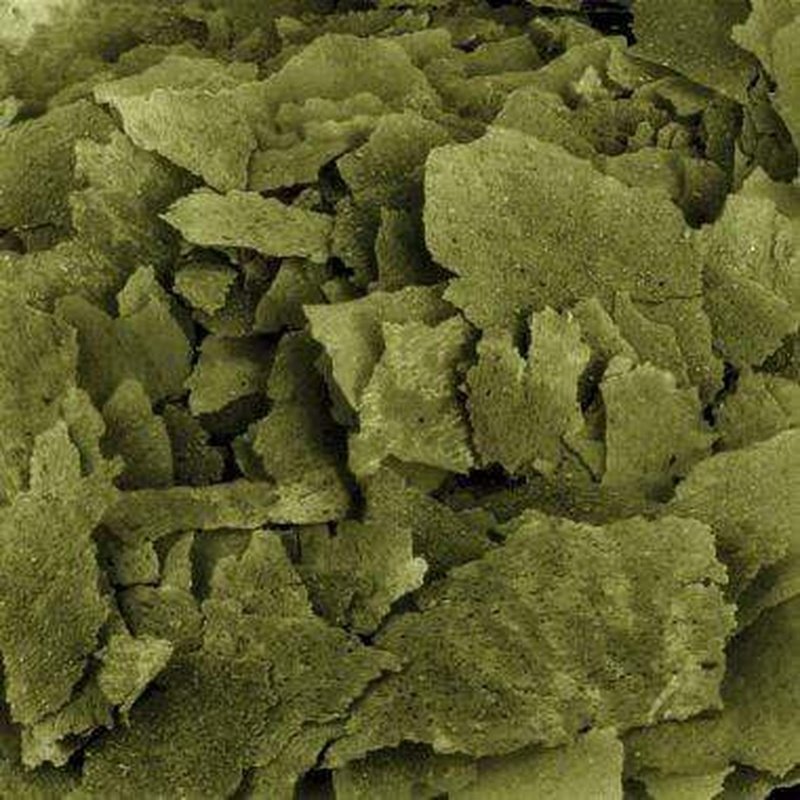Fluval Bug Bites Spirulina Flakes - Aquatic Supplies Australia
