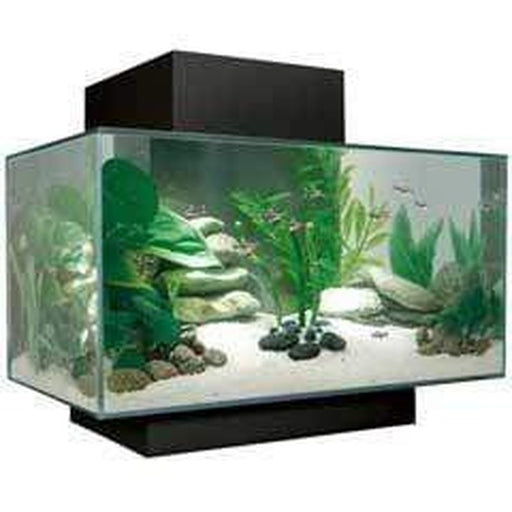 Fluval EDGE 2.0 LED Aquarium Black 23L - Aquatic Supplies Australia