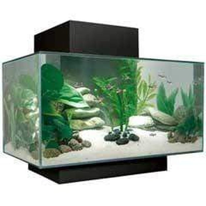 Fluval EDGE 2.0 LED Aquarium Black 23L - Aquatic Supplies Australia