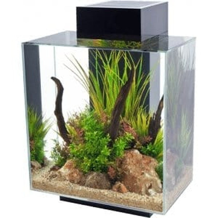 Fluval EDGE 2.0 LED Aquarium Black 46L - Aquatic Supplies Australia
