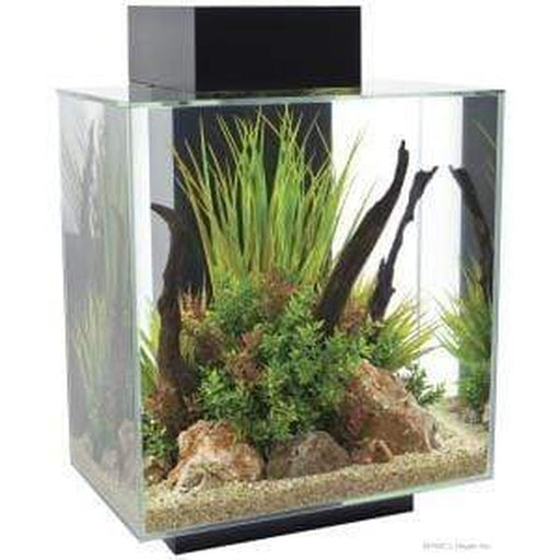 Fluval EDGE 2.0 LED Aquarium Black 46L - Aquatic Supplies Australia