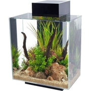 Fluval EDGE 2.0 LED Aquarium Black 46L - Aquatic Supplies Australia