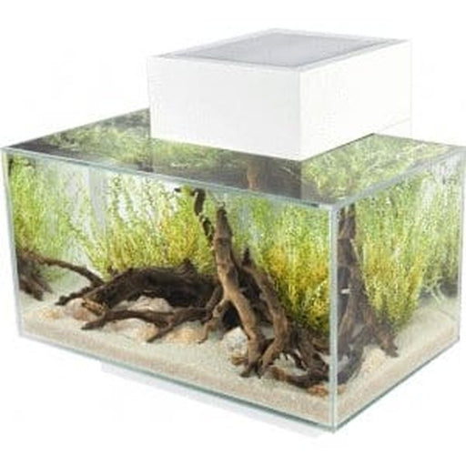 Fluval EDGE 2.0 LED Aquarium White 23L - Aquatic Supplies Australia