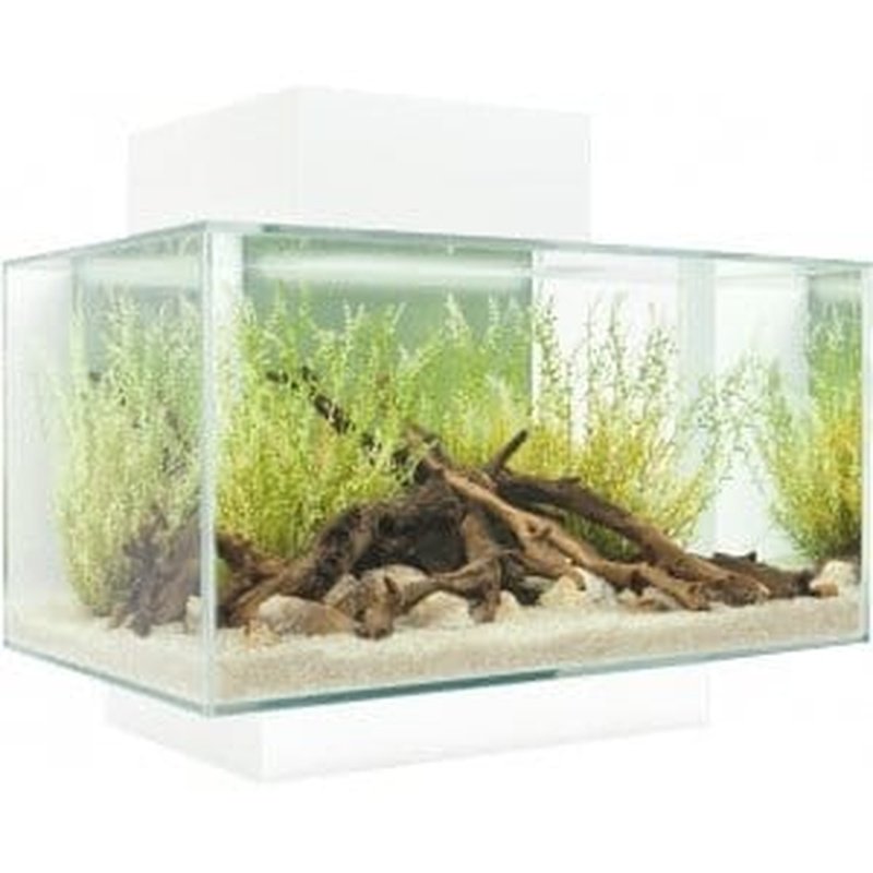 Fluval EDGE 2.0 LED Aquarium White 23L - Aquatic Supplies Australia