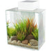 Fluval EDGE 2.0 LED Aquarium White 46L - Aquatic Supplies Australia