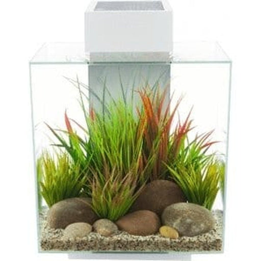 Fluval EDGE 2.0 LED Aquarium White 46L - Aquatic Supplies Australia