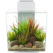 Fluval EDGE 2.0 LED Aquarium White 46L - Aquatic Supplies Australia