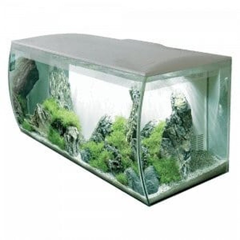 Medium & Large Aquariums