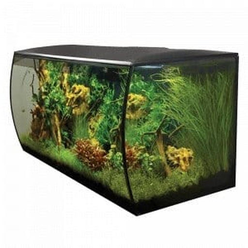 Fluval FLEX Aquarium Kit 123L - Aquatic Supplies Australia