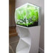 Fluval FLEX Aquarium Kit 57L White - Aquatic Supplies Australia