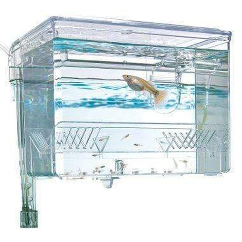 Fluval Hang-On Breeding Box - Aquatic Supplies Australia