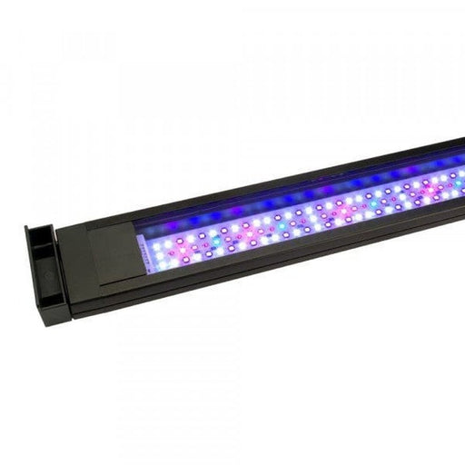 Fluval Marine 3.0 LED for Flex Saltwater Aquarium 123L (14513-EU AUS) - Aquatic Supplies Australia