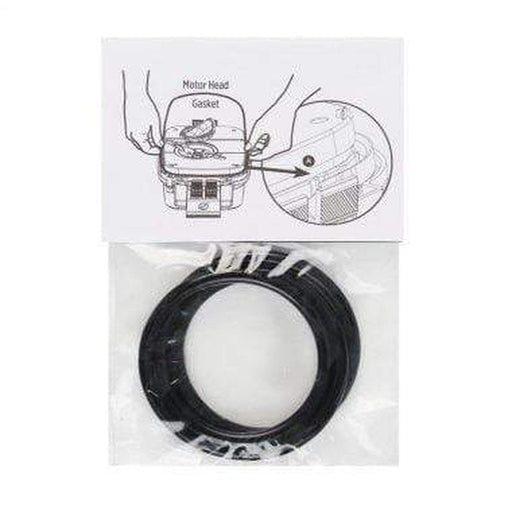 Fluval Motor Head Gasket for 105/205 106/206 107/207 (A20038) - Aquatic Supplies Australia