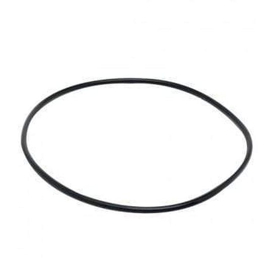 Fluval Motor Seal Ring for 305/306 & 405/406 (A20063) - Aquatic Supplies Australia