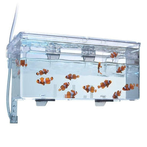 Fluval Multi-Chamber Holding & Breeding Box Aquatic Supplies Australia