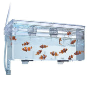 Fluval Multi-Chamber Holding & Breeding Box - Aquatic Supplies Australia
