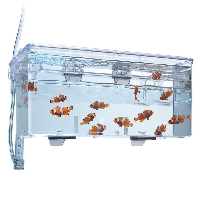 Fluval Multi-Chamber Holding & Breeding Box - Aquatic Supplies Australia
