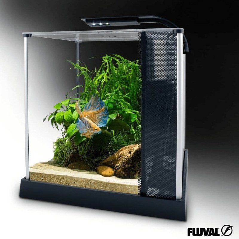 Fluval Premium Betta Kit 10L - Aquatic Supplies Australia