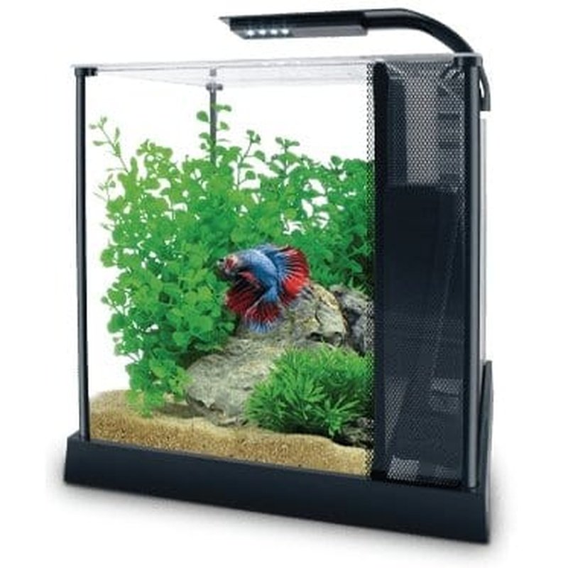 Fluval Premium Betta Kit 10L — Aquatic