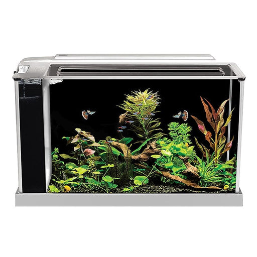 Fluval Spec 5 V2 Aquarium Kit 19L - Aquatic Supplies Australia