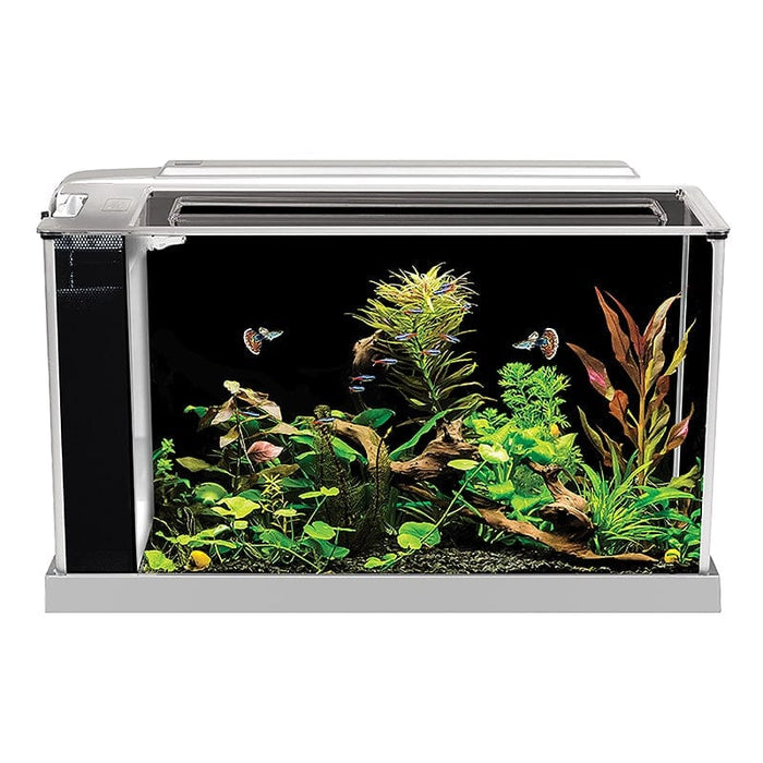 Fluval Spec 5 V2 Aquarium Kit 19L - Aquatic Supplies Australia