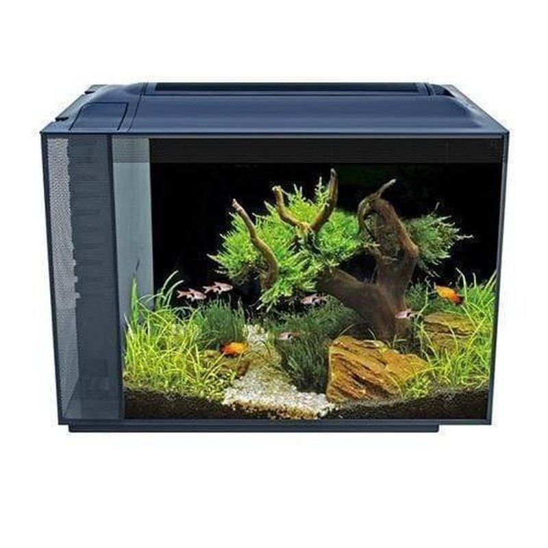 Fluval Spec XV Aquarium Black 60L - Aquatic Supplies Australia